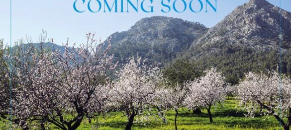 4 bedrooms Land in Santanyi, Spain No. 276119 2