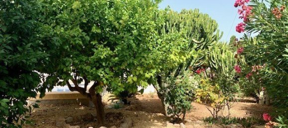 3 bedrooms Villa in Albir, Spain No. 8779 21