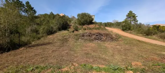 892m² Land in Poggio-Mezzana, France No. 157838 8