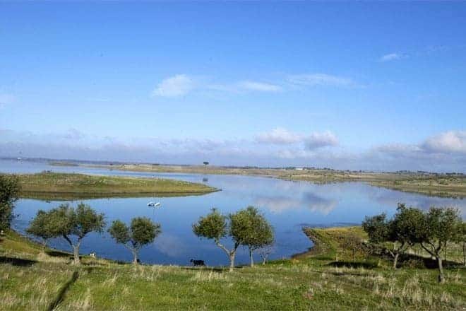 Grundstück in Reguengos de Monsaraz, Portugal, Nr. 270872