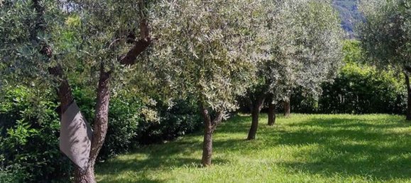 10 rooms Villa in Massarosa, Italy No. 207718 49