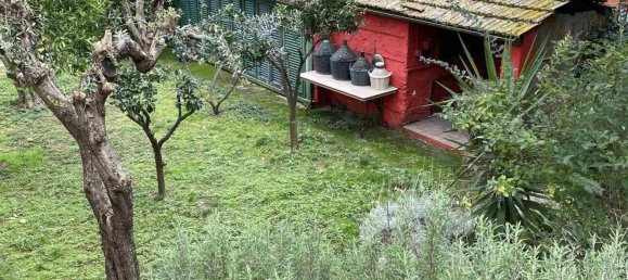 10 rooms Villa in Massarosa, Italy No. 207718 45