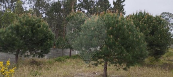 قطعة أرض في Marinha Grande, Portugal رقم 57006 4