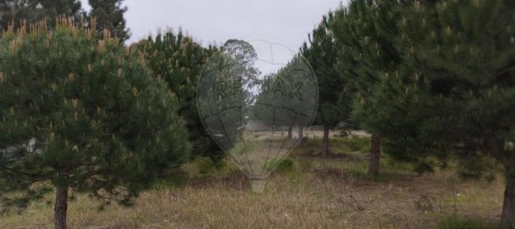 قطعة أرض في Marinha Grande, Portugal رقم 57006 3