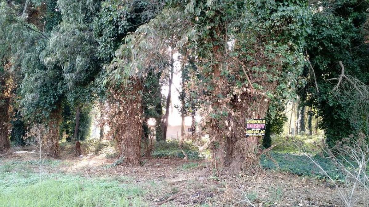  Land in Mar del Plata, Argentina No. 118079