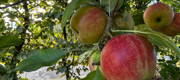 2 bedrooms Duplex in Stormarn, Germany No. 363719 3