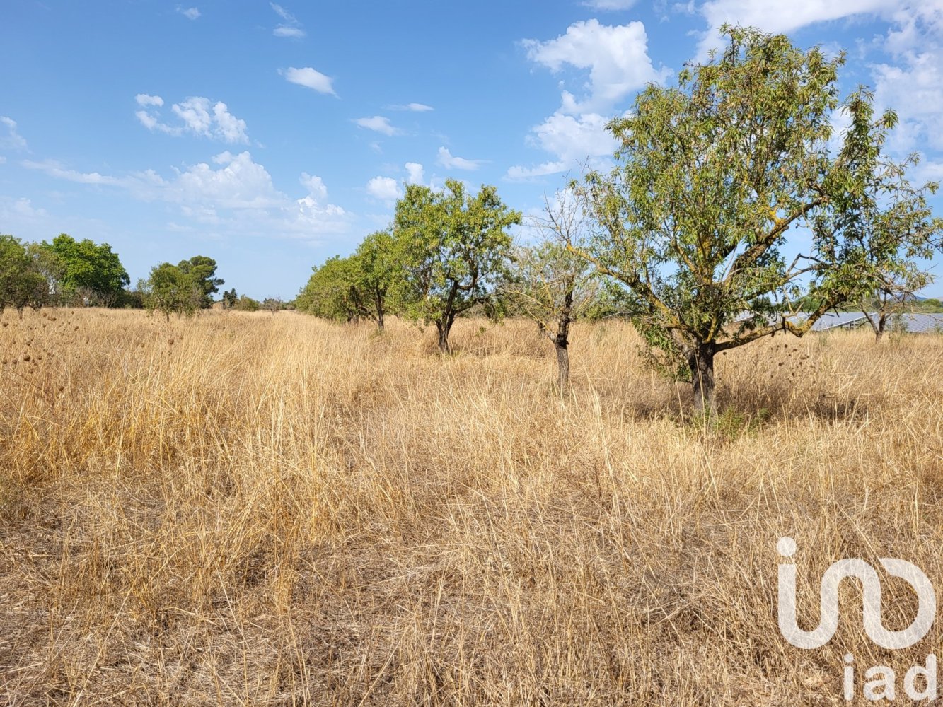 19777m² Land in Santa Maria Del Cami, Spain No. 292834