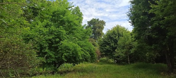 7 Schlafzimmer Villa in Saint-Jean-de-Marsacq, France, Nr. 103041 13