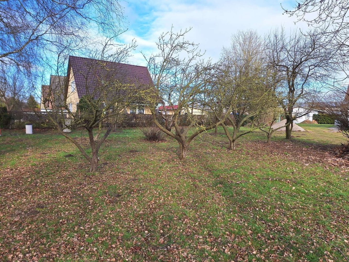  Land in Vorpommern-Greifswald, Germany No. 206508