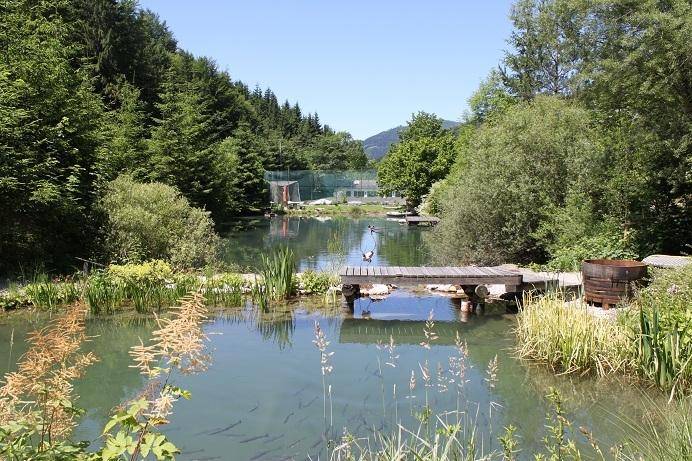 Casa de 8 divisões em Ybbsitz, Austria N.º 142177