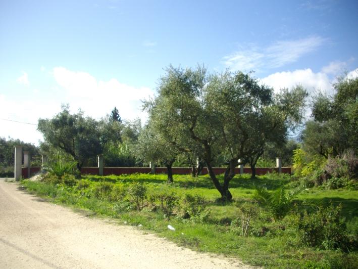  Hotel in Zakynthos, Greece No. 428