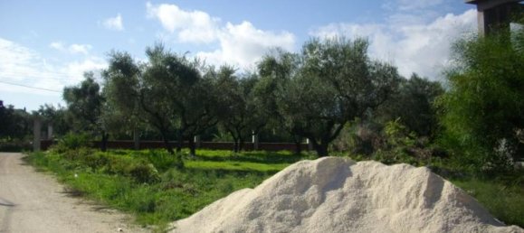  Hotel in Zakynthos, Greece No. 428 3