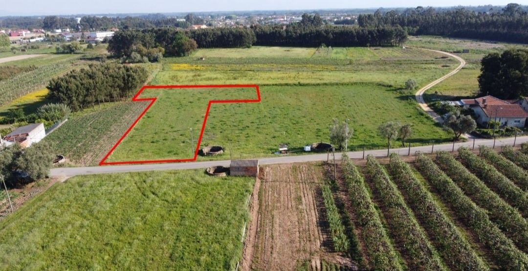  Land in Palhaca, Portugal No. 246908