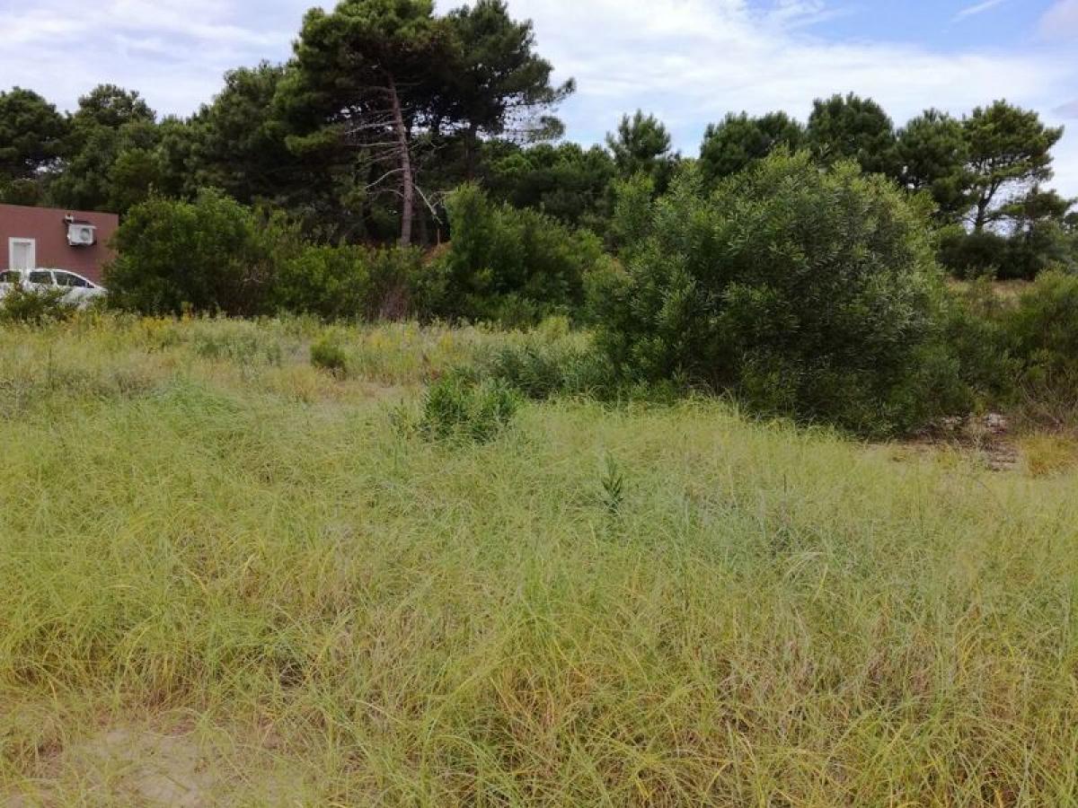  Land in Mar del Plata, Argentina No. 111347