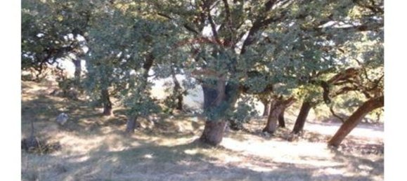 3 Schlafzimmer Haus in Abiul, Portugal, Nr. 25785 13