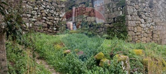 3 bedrooms House in Vila Real, Portugal No. 159508 6