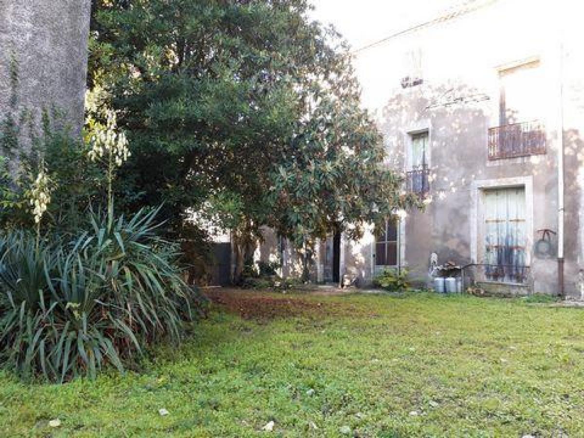 5 bedrooms House in Montpellier, France No. 24957