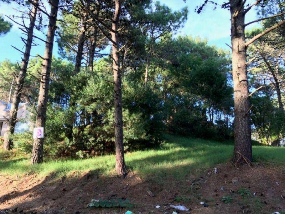  Land in Mar del Plata, Argentina No. 111288