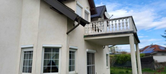 11-salle Maison à Gross-Enzersdorf, Austria No. 244629 10