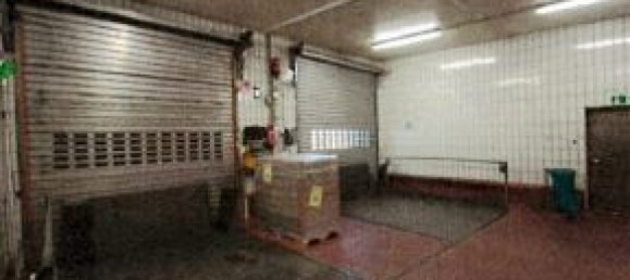 Imóvel comercial de 66 divisões em Gutersloh, Germany N.º 191944 5