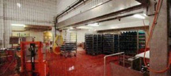 Imóvel comercial de 66 divisões em Gutersloh, Germany N.º 191944 23