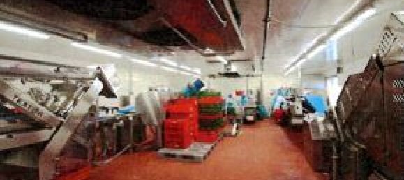 Imóvel comercial de 66 divisões em Gutersloh, Germany N.º 191944 22