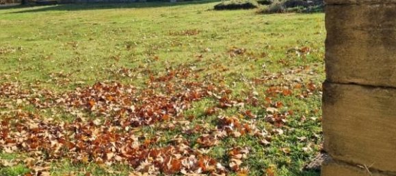 Земельный участок 1000м² в Лорис, Франция № 114058 4