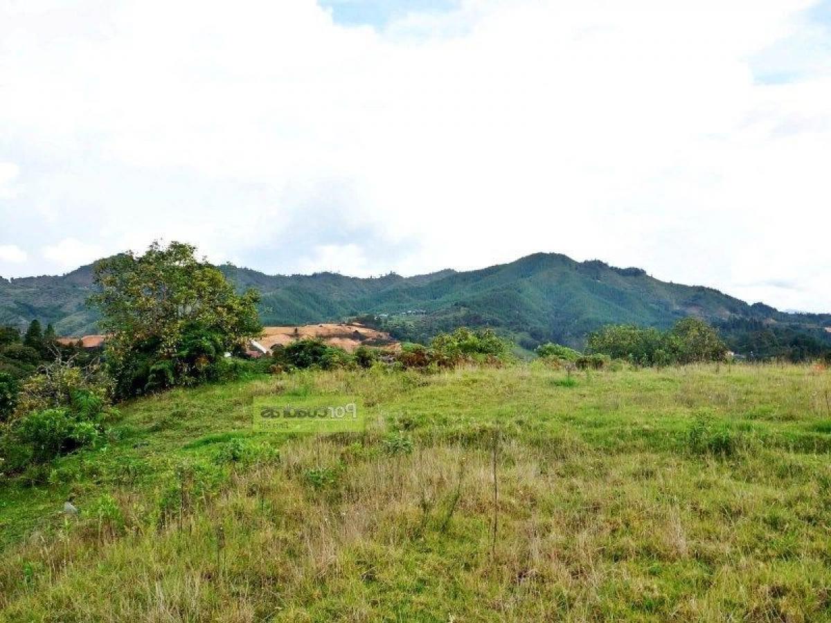  Land in Antioquia, Colombia No. 812