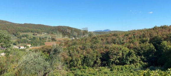 65149m² Land in Villaga, Italy No. 162054 21