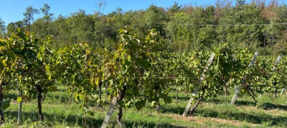 65149m² Land in Villaga, Italy No. 162054 19