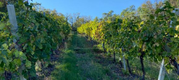 65149m² Land in Villaga, Italy No. 162054 20