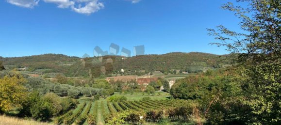 65149m² Land in Villaga, Italy No. 162054 2