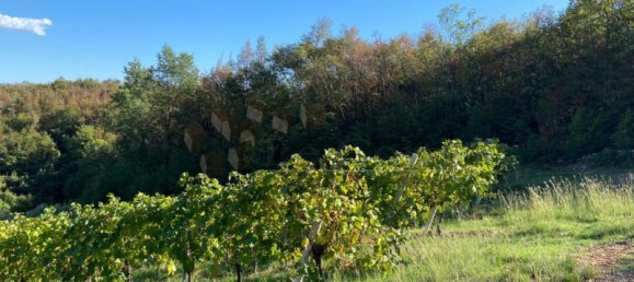 65149m² Land in Villaga, Italy No. 162054 5