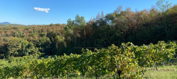 65149m² Land in Villaga, Italy No. 162054 17