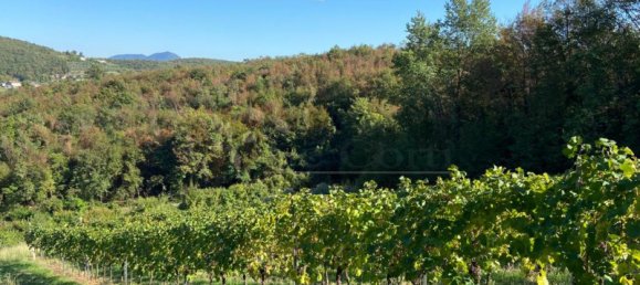 65149m² Land in Villaga, Italy No. 162054 23