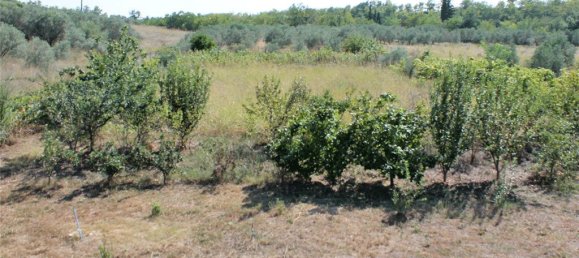 5 bedrooms Commercial property in Katerini, Greece No. 5506 12