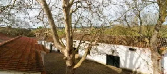 Casa T5 em Torres Vedras, Portugal N.º 115930 38