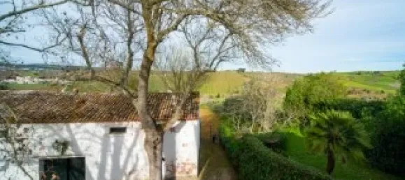 Casa T5 em Torres Vedras, Portugal N.º 115930 41