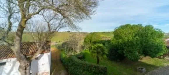 Casa T5 em Torres Vedras, Portugal N.º 115930 39