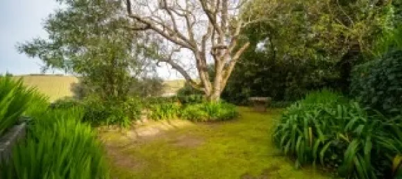 Casa T5 em Torres Vedras, Portugal N.º 115930 43