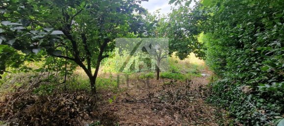 9 bedrooms Villa in Lucca, Italy No. 311006 30