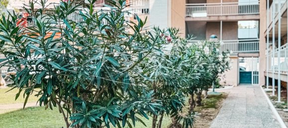 2 bedrooms Apartment in Salou, Spain No. 175935 12