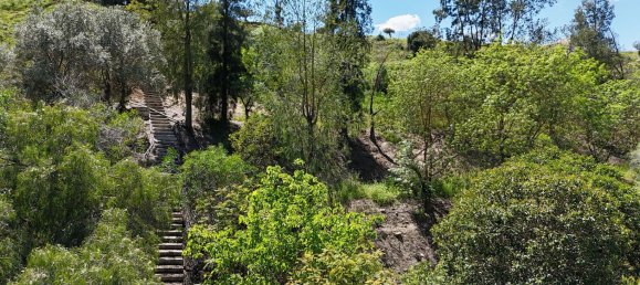 4 Schlafzimmer Haus in Coin, Spain, Nr. 137926 10