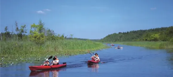 1 غرف نوم شقة في Mecklenburgische Seenplatte, Germany رقم 127547 28