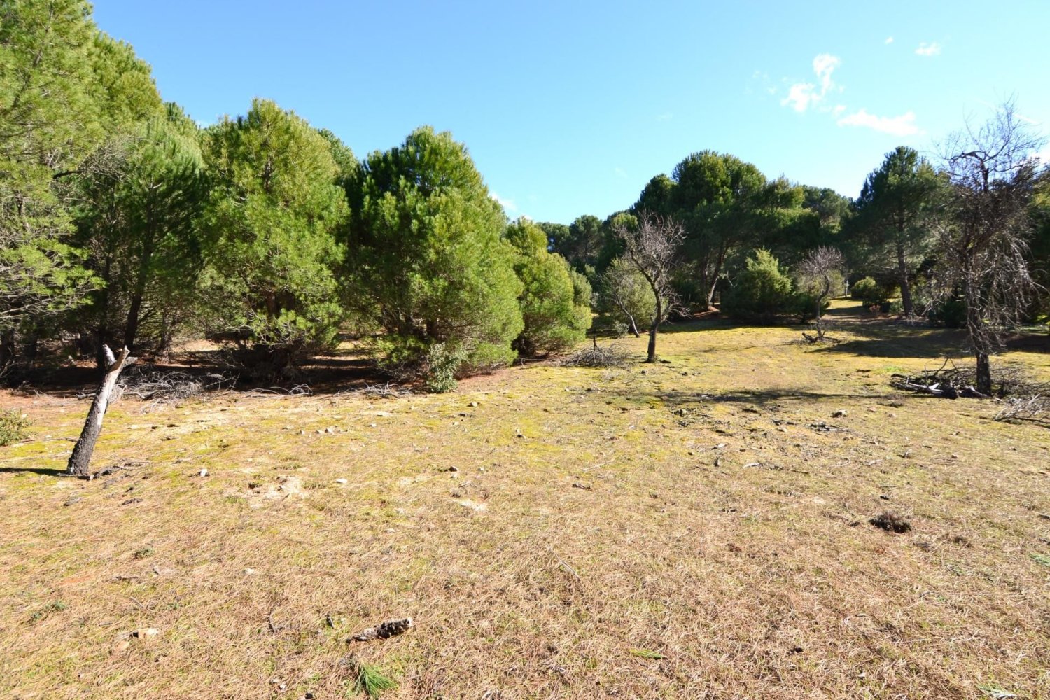 Grundstück in San Martin de Valdeiglesias, Spain 14338m², Nr. 93672