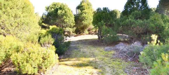 Grundstück in San Martin de Valdeiglesias, Spain 14338m², Nr. 93672 15