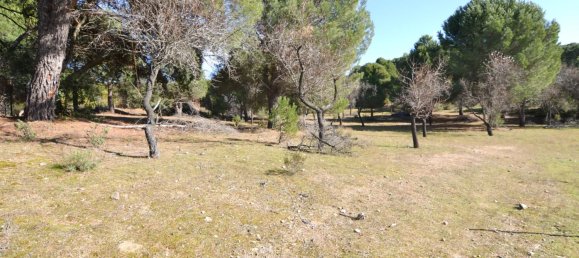 Grundstück in San Martin de Valdeiglesias, Spain 14338m², Nr. 93672 4