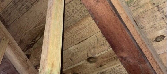 15غرفة منزل في Vorpommern-Greifswald, Germany رقم 141325 12