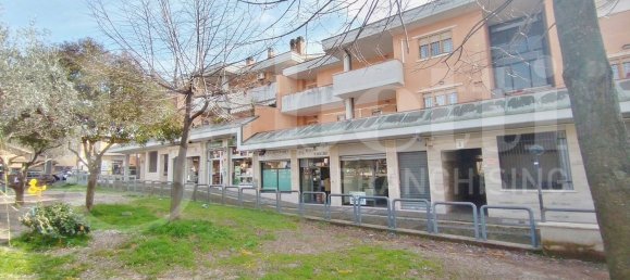 2-Zimmer Wohnung in Marino, Italy, Nr. 113275 13