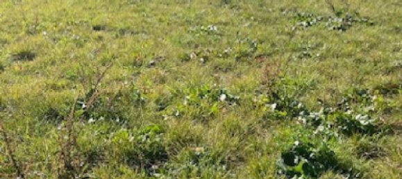 835m² Land in Jallaucourt, France No. 75449 6